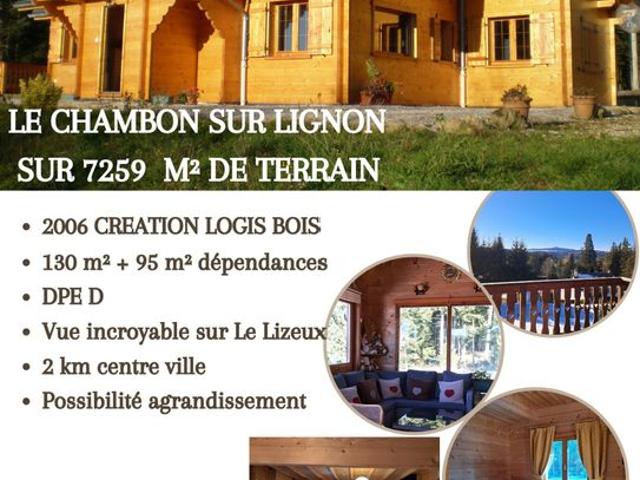 Maison de prestige de 180 m2 en vente Le Chambon sur Lignon, France