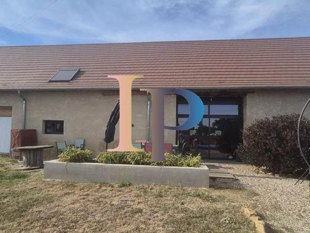 Maison de prestige de 204 m2 en vente Baugy, France