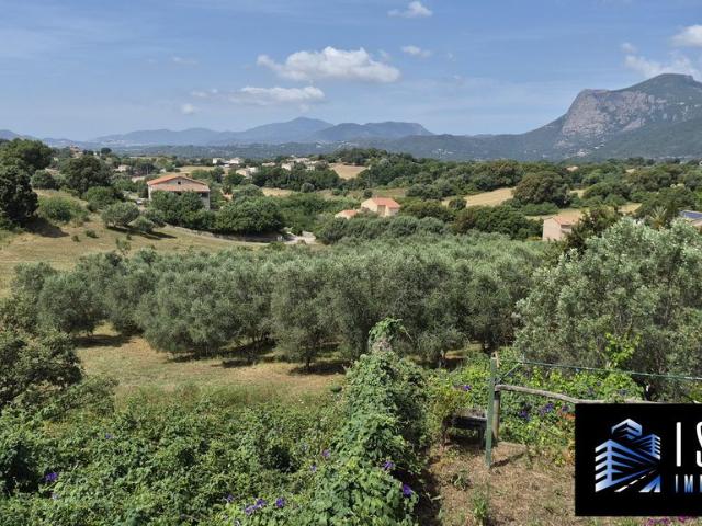 Maison de prestige de 205 m2 en vente Peri, Corse