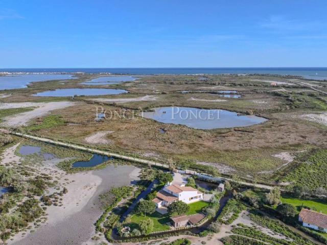 Maison de prestige de 200 m2 en vente Saintes Maries de la Mer, France