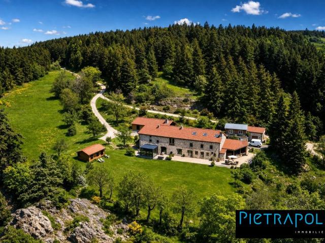 Maison de prestige de 408 m2 en vente Le Puy en Velay, Auvergne Rhône Alpes