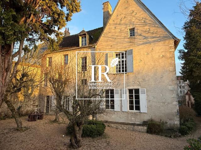 Maison de prestige de 400 m2 en vente Mehun sur Yèvre, France