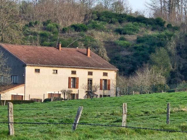 Maison de prestige de 400 m2 en vente Escles, Grand Est