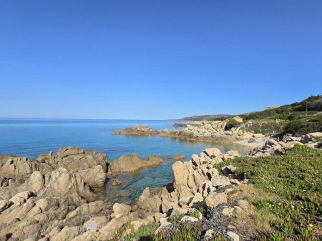 Maison de prestige de 74 m2 en vente Sartène, Corse