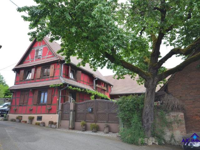 Maison de prestige en vente Olwisheim, France