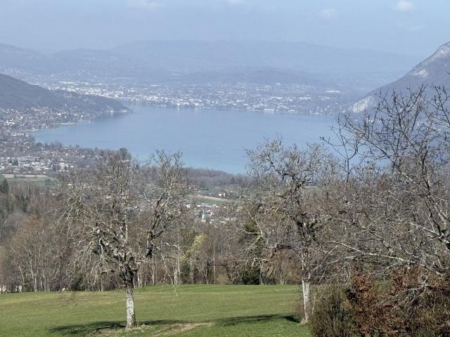 Maison de prestige en vente Saint Eustache, Auvergne Rhône Alpes