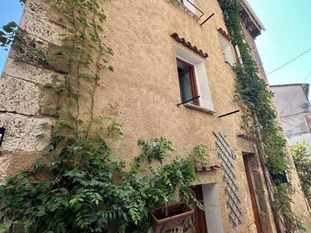 Maison de village 3 entrées 2 terrasses