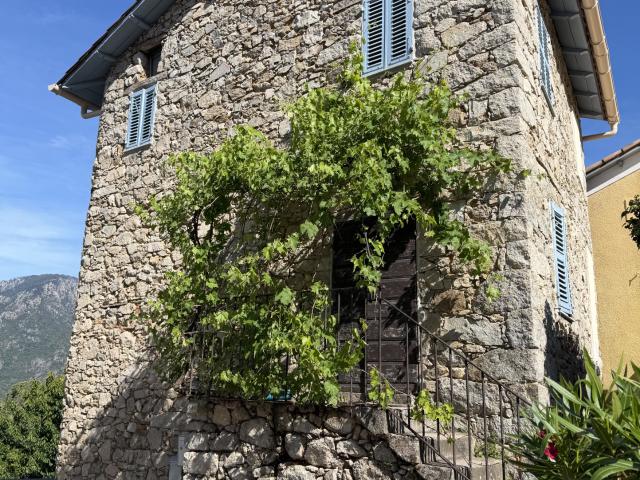 Maison de village Vico