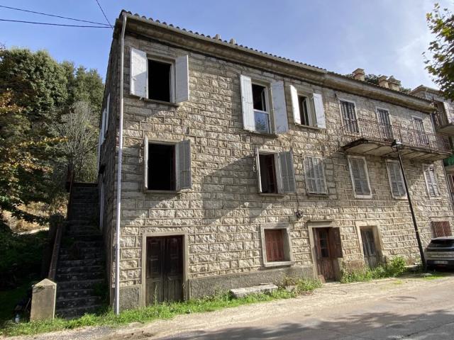 Exclusivité Levie Maison en pierre 194m2
