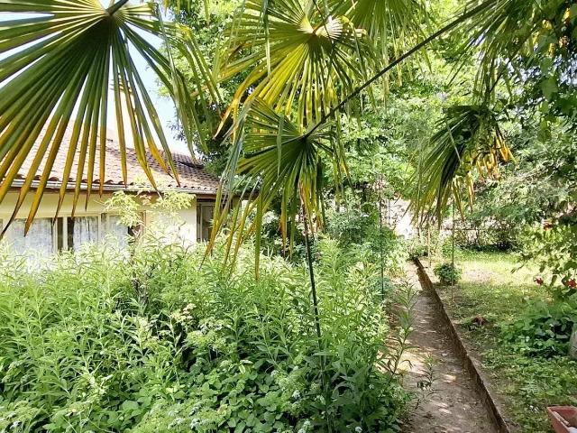 Maison de village avec jardin
