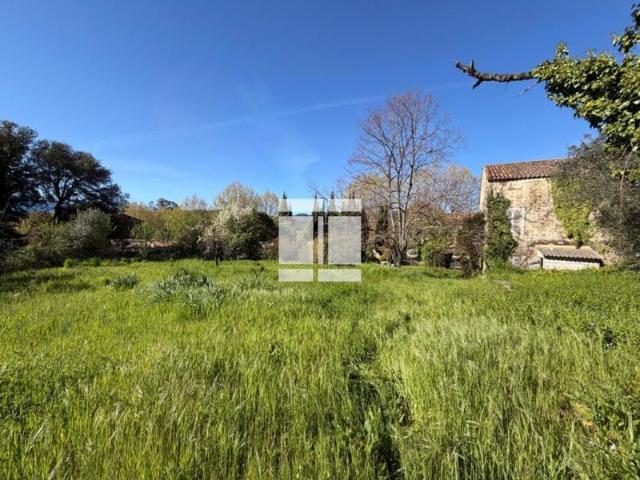 Maison de village en pierre à rénover – Fort potentiel – Grosseto Prugna