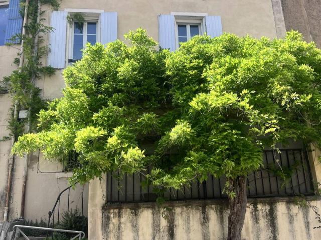 Maison de village Peynier T4 70m² avec terrasse et cave