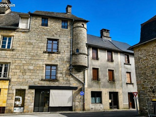 Maison de ville 10 pièces 281 m²
