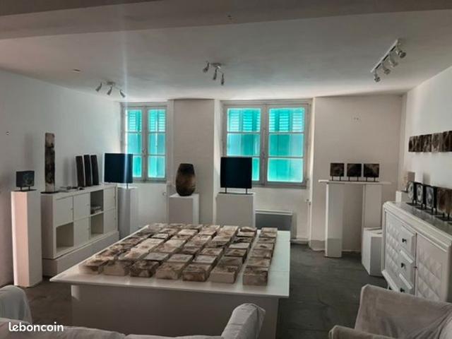 Maison de ville 10 pièces 300 m²