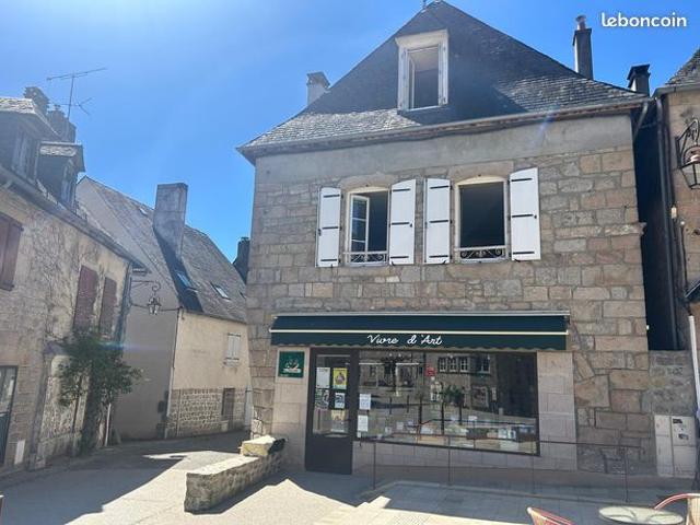 Maison de ville 7 pièces 300 m²