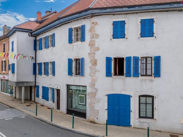 Maison de ville 5 chambres et local commercial 243m² Gex