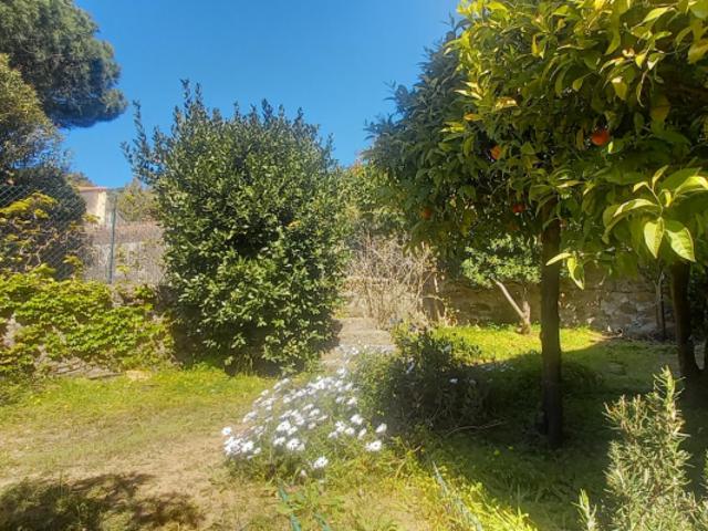 Maison de ville avec beau jardin Au calme et 'tout à pieds ' coeur du Lavandou