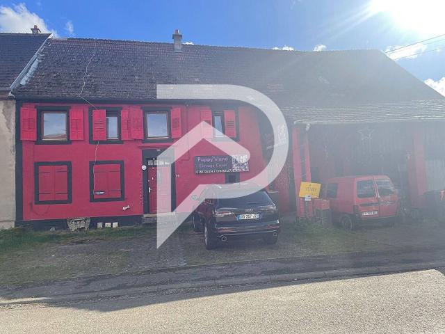 Maison Diedendorf 10 pièces 295 m²