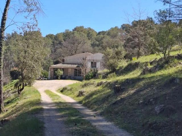 Maison en forêt calme absolu