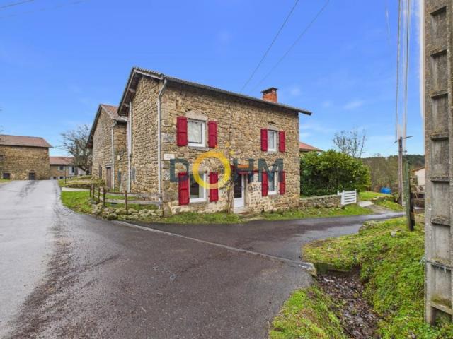 maison en pierre avec terrain