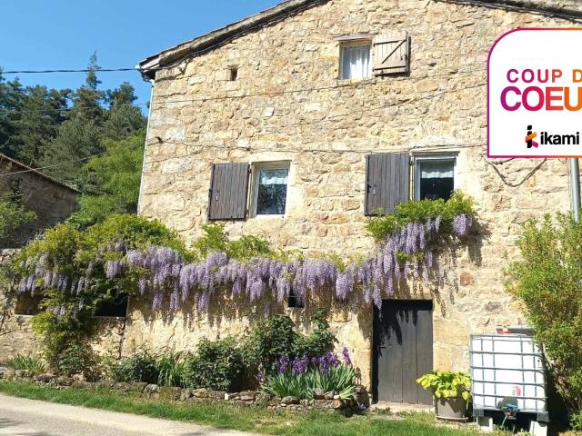 Maison en pierre avec terrasse, cave voûtée et terrain de 2. 119m² Vocance