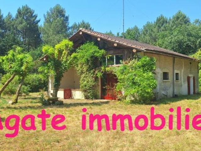 MAISON EN PIERRE A LOUER SUR GRAND TERRAIN 33840 CAPTIEUX