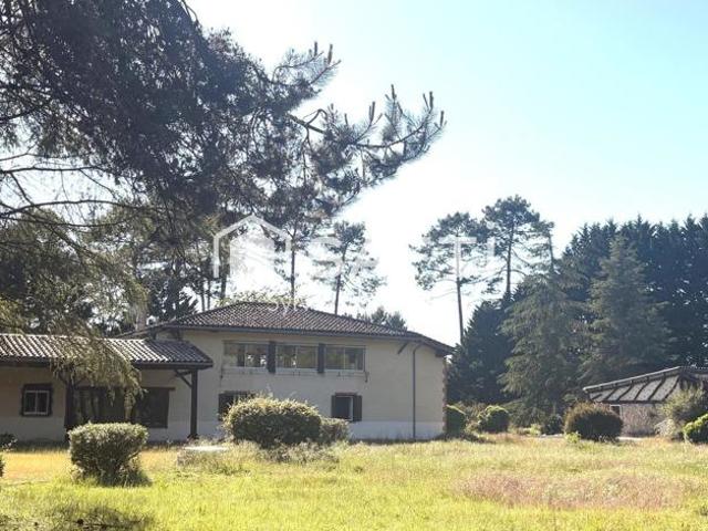Maison en pierre et piscine sur terrain de 9173 m2