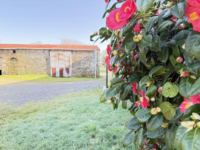 MAISON EN PIERRE GRANGE À RÉNOVER TERRAIN 320M2 ARRADON