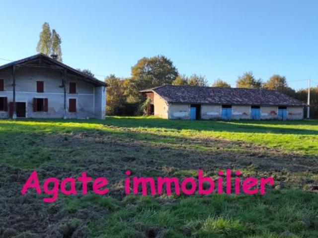 Maison en pierre type landaise proche bazas sur 3 hectares