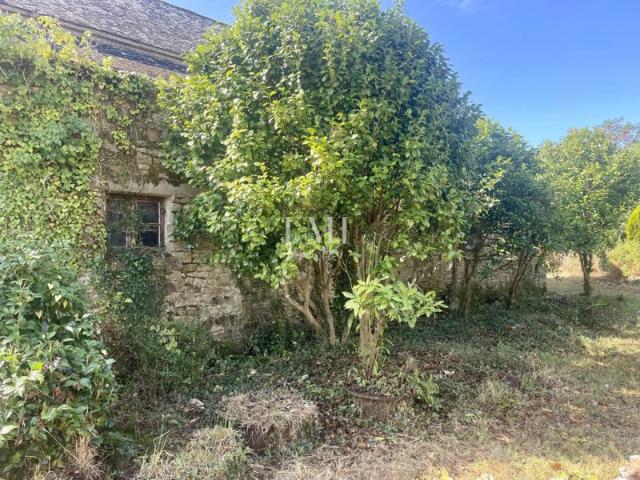 MAISON EN PIERRES AU CALME ORIENTÉE PLEIN SUD