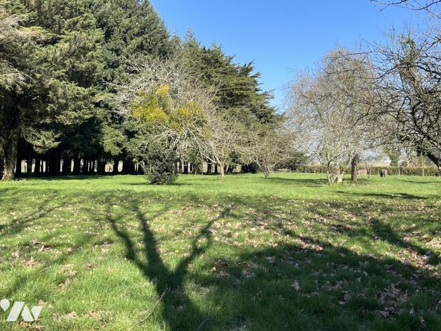 Maison en vente à Chapelle Neuve, Bretagne, 550000€