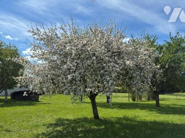 Maison en vente à Combeaufontaine, Bourgogne Franche Comté, 140000€