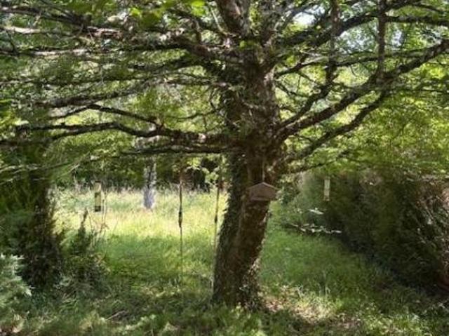 Maison en vente à Courtenay, Centre Val de Loire, 141750€