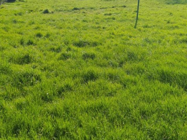 Maison en vente à Dallon, Hauts de France, 120880€