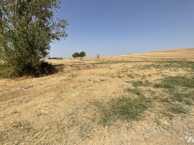 Maison en vente à Escazeaux, Occitanie, 199000€