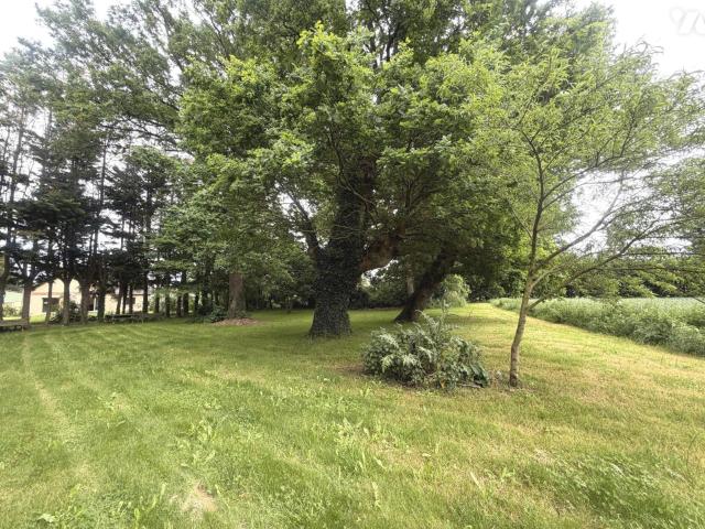 Maison en vente à Guipry Messac, Bretagne, 326025€