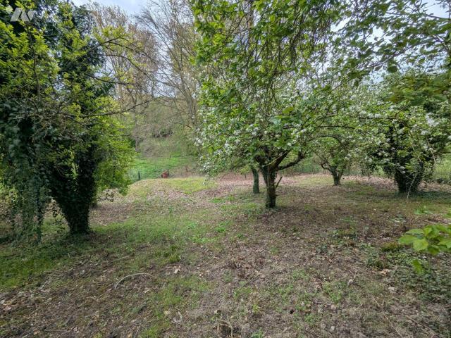 Maison en vente à Magnicourt sur Canche, Hauts de France, 100000€
