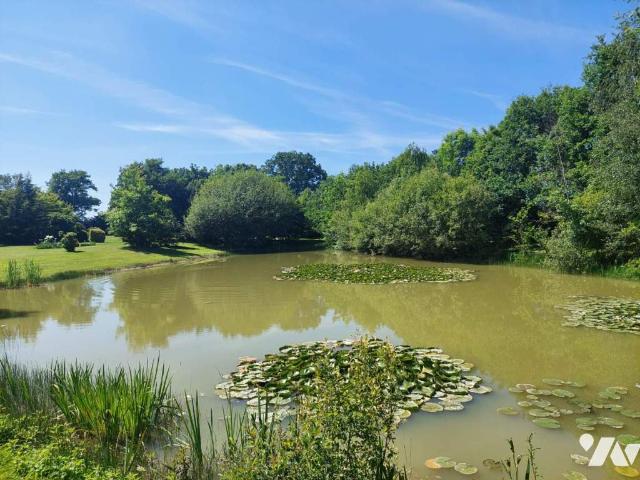 Maison en vente à Martigné Ferchaud, Bretagne, 535000€