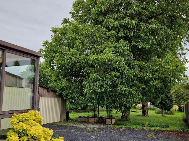 Maison en vente à Mercatel, Hauts de France, 211500€