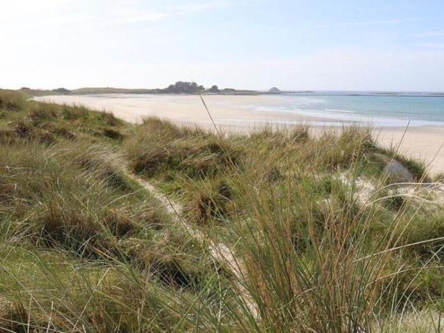 Maison en vente à Ploudalmézeau, Bretagne, 280000€