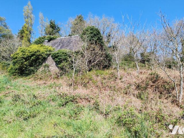 Maison en vente à Plounéour Ménez, Bretagne, 13000€