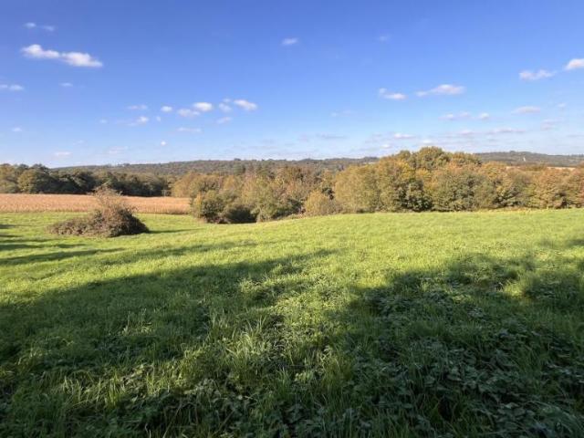 Maison en vente à Pluméliau Bieuzy, Bretagne, 150000€