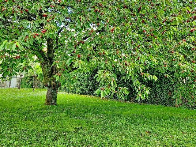 Maison en vente à Prahecq, Nouvelle Aquitaine, 260000€