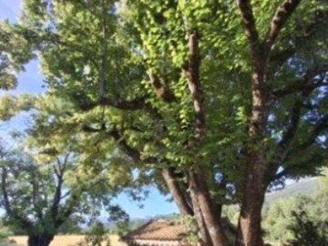 Maison en vente à Serres, Provence Alpes Côte d'Azur, 395200€