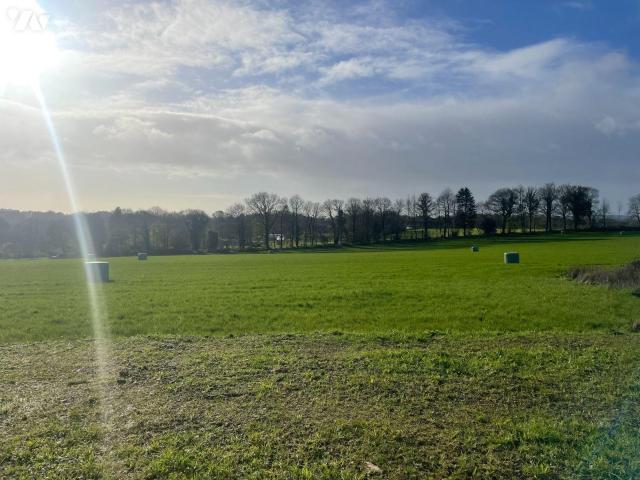 Maison en vente à Silfiac, Bretagne, 160000€