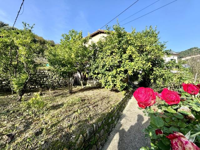 RCM VIAGER OCCUPE MAISON TERRAIN