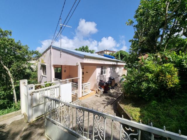 FORT DE FRANCE IMMEUBLE VIAGER