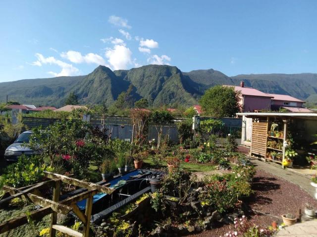 Maison F6 La Plaine des Palmistes Jardin