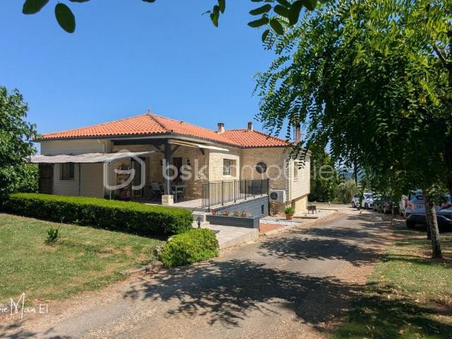 Maison familiale au cœur d’un jardin arboré