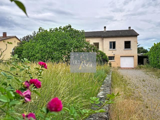 Maison familiale avec grand terrain arboré et dépendances